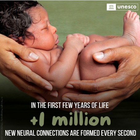 Le cerveau des bébés